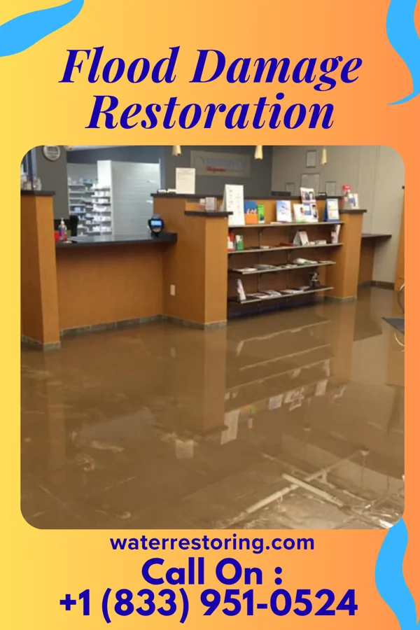 Flood Damage Restoration in Sulphur, LA