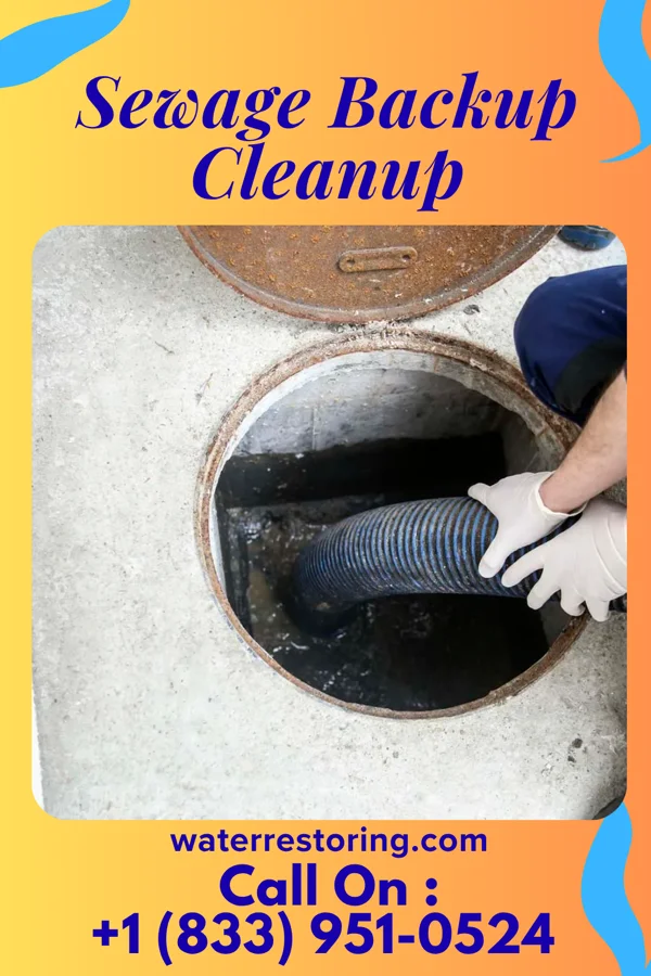 Sewage Backup Cleanup in Sulphur, LA
